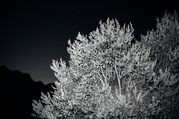 Location: Red Rock Canyon