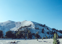 Bristlecone Pines 19-21Aug-2019