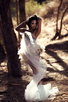 Swan