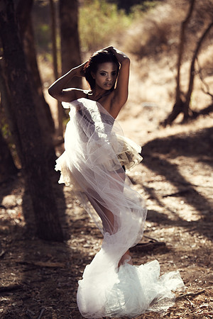 Swan