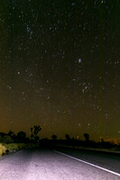 Joshua Tree