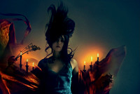 The Writer